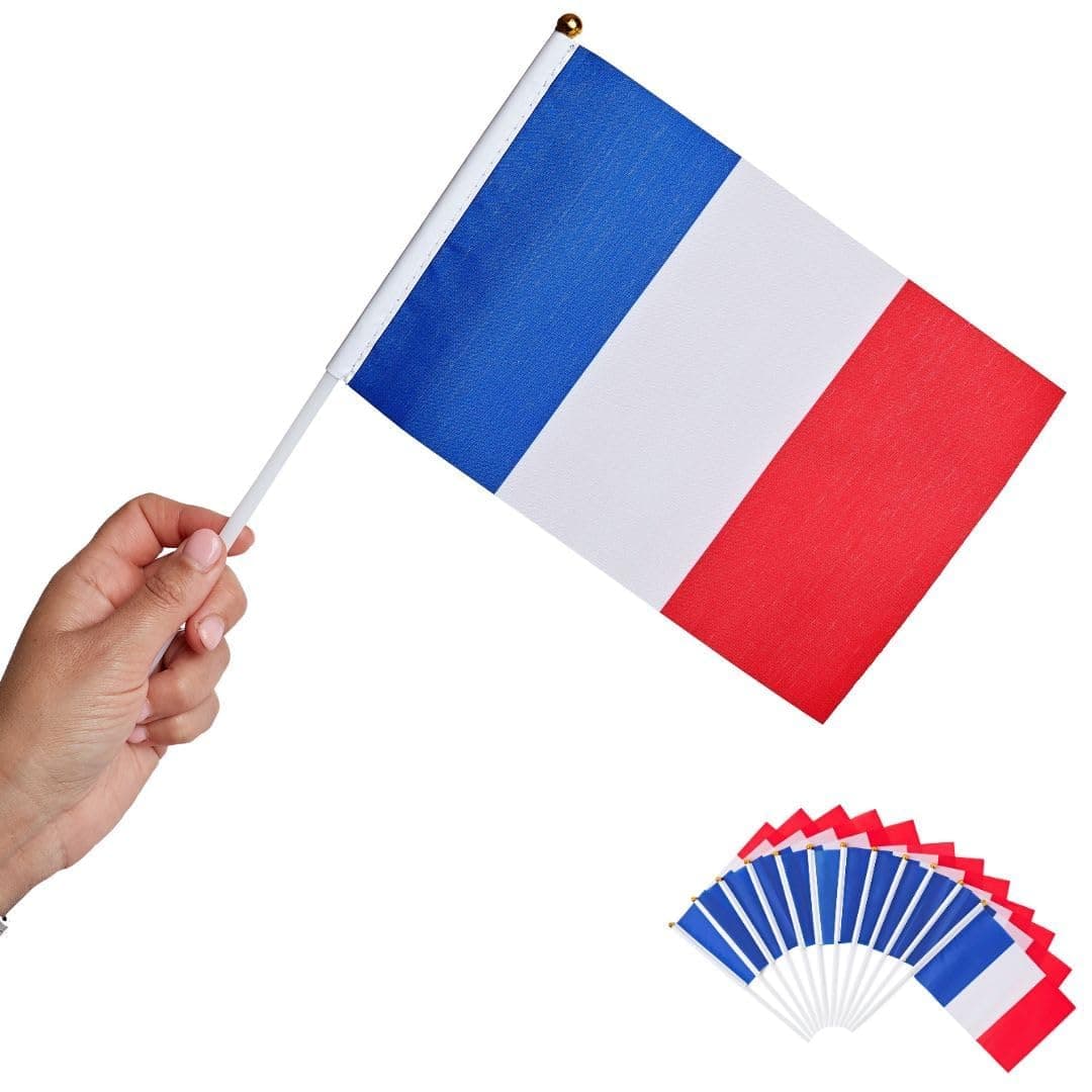 Petits drapeaux de la France sur bâton ZISONIX, lot de 12