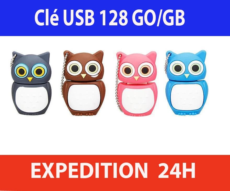 Clé USB 2.0 128 Go porte-clés