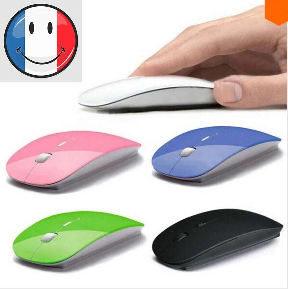 Mini souris sans fil avec dongle USB